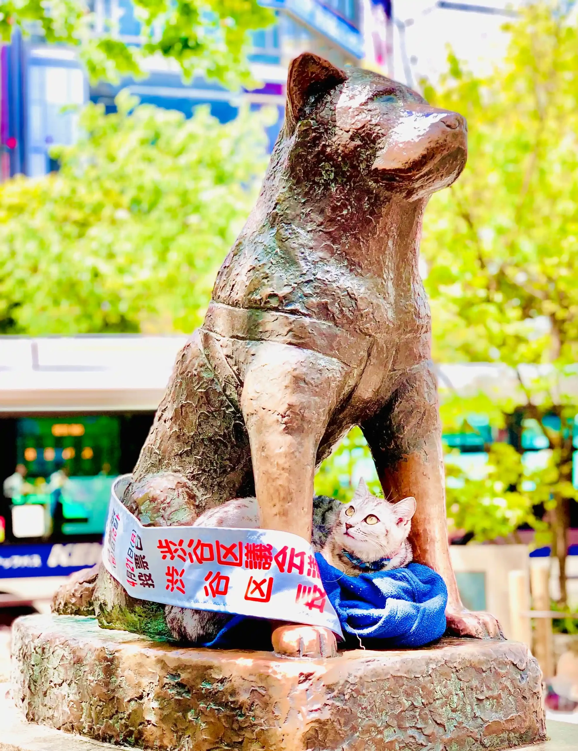 Shibuya 2